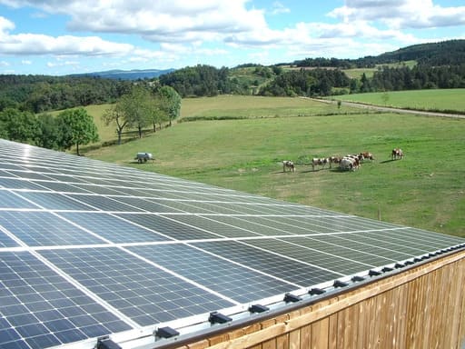 Prairie avec des vaches et des panneaux photovoltaïques au premier plan : image de l'agrivoltaïsme.