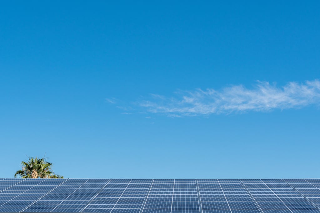 Des panneaux photovoltaïques sous un ciel bleu. En arrière-plan, un palmier.