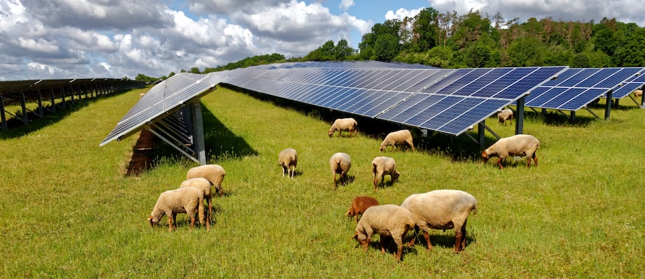 Page offre - Agrivotlaïsme - bandeau bloc 2 - gauche