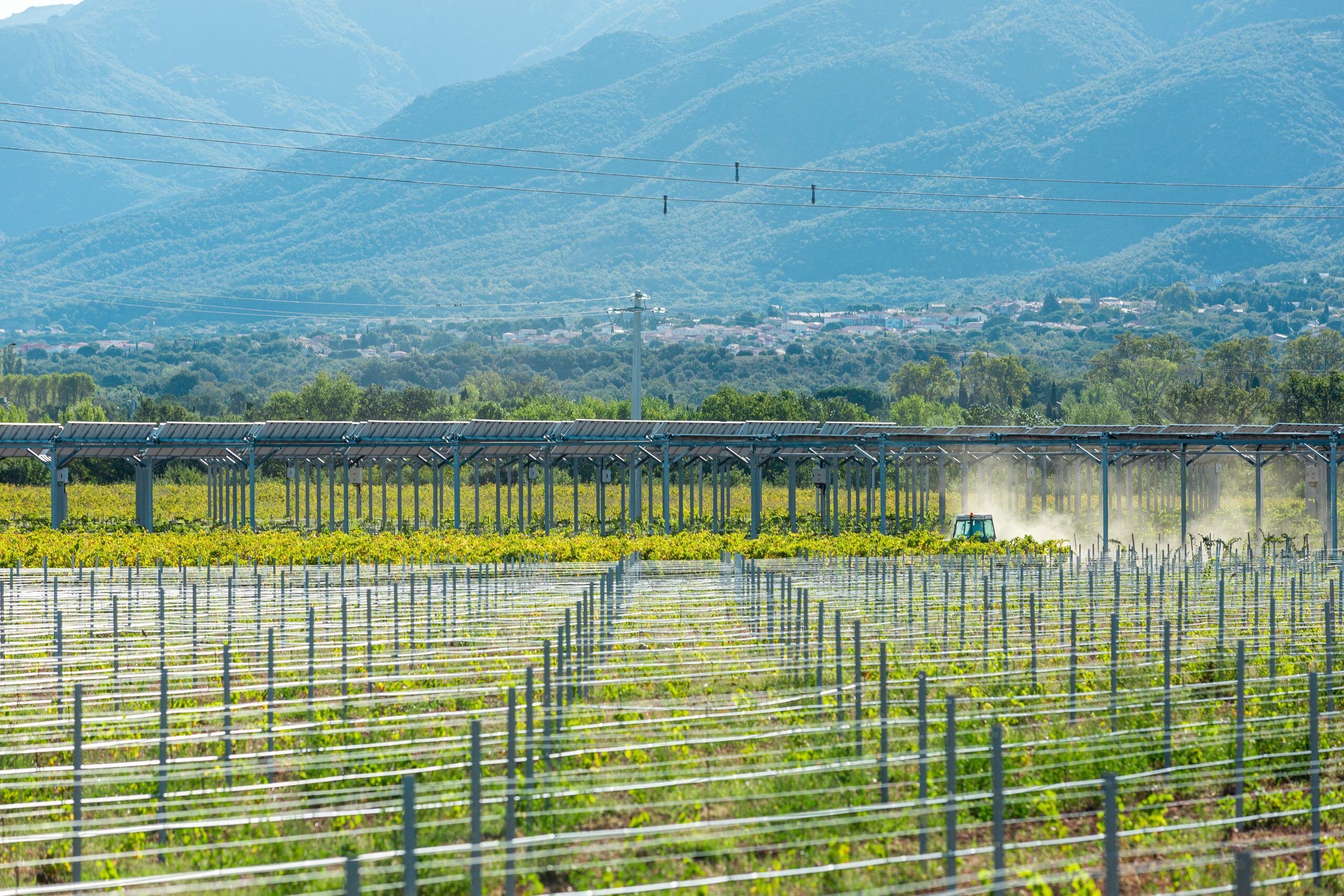 Démonstrateur-agrivoltaïque_Tresserre_sur-vignes_Crédit-photo-SunAgri-22-scaled-1