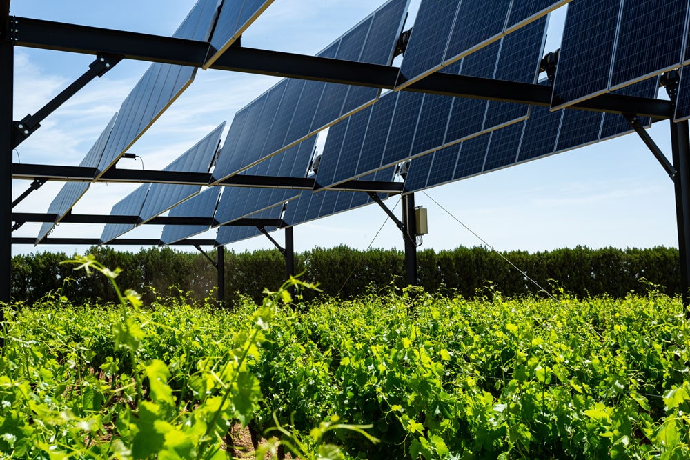 Agrivoltaïsme, cultures sous persiennes avec un pilotage dynamique